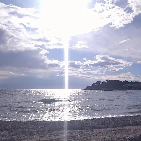Vranici *
